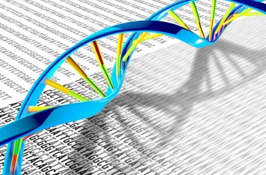 اكتشاف العملية المعقدة لإصلاح الحمض النووي - الحمض النووي الريبوزي منقوص الأكسجين (DNA) التالف في أنوية الخلايا - ثبات الجينوم