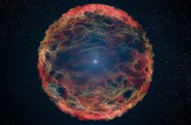محاكاة جديدة تسمح للباحثين بالغوص في تفاصيل أحد أكبر الانفجارات النجمية التي شهدتها البشرية - سديم هومونكولوس المحيط بنجم إيتا كارينا