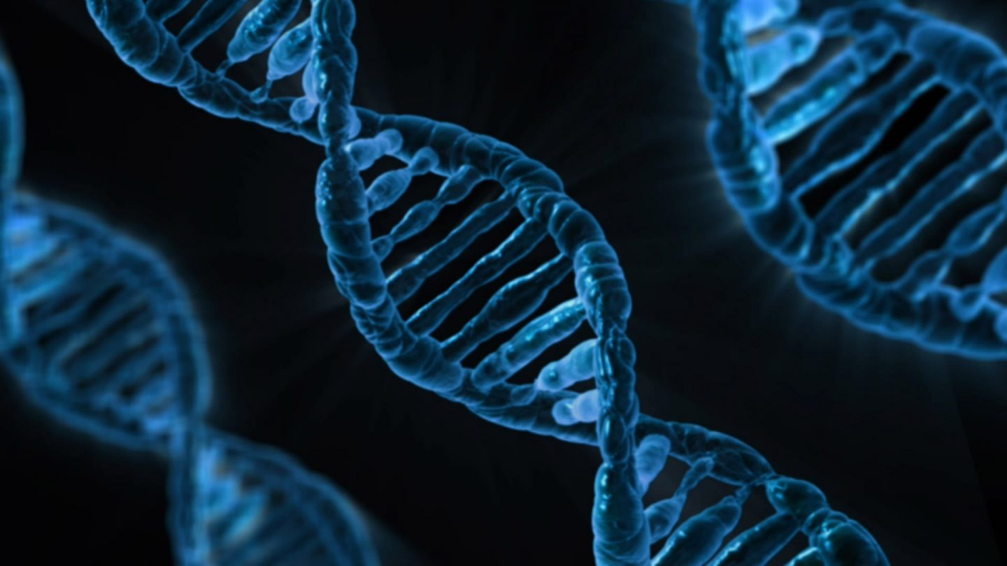 مقدمة إلى البيولوجيا الجزيئية :  الحمض النووي الريبوزي منقوص الأكسجين « المقال الأول »