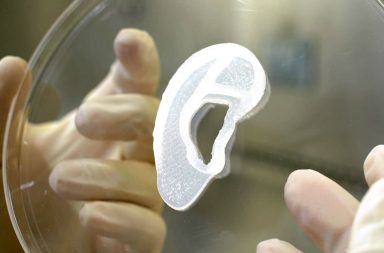 تمكنت مجموعة من الباحثين من طباعة أذن بشرية باستخدام خلايا حية مأخوذة من المريض نفسه باستخدام تقنية الطباعة ثلاثية الأبعاد