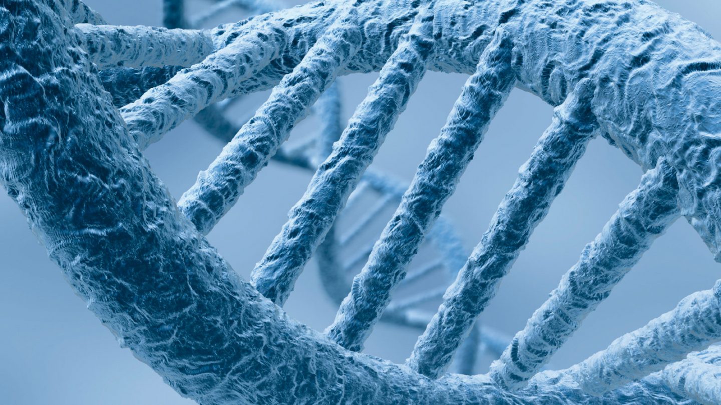 الايبيجينية : كيف يمكن للبيئة ان تؤثر في الوراثة ؟