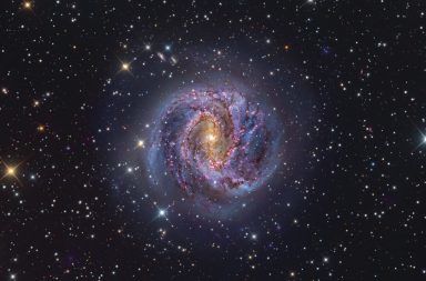 صورة خاطفة للأنفاس تظهر مجرة مسييه 83.. ولكن تلك النقاط ليست نجومًا متلألئة الإشعاعات الكهرومغناطيسية الأشعة السينية التهام الثقوب السوداء للمادة