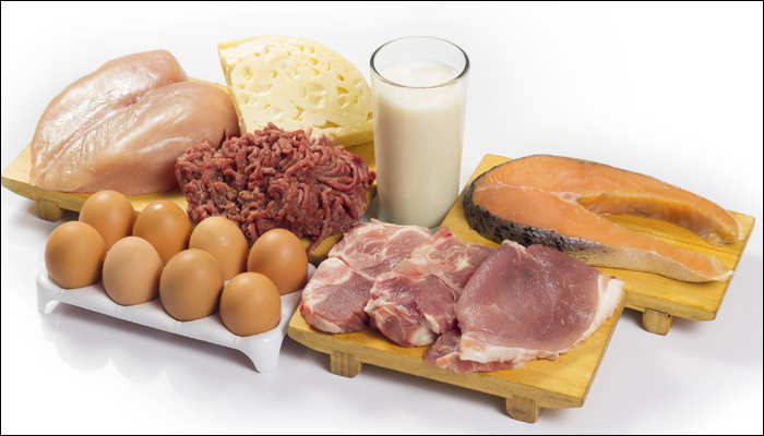 الحمية الغنية ب البروتين تقلل من فوائد التمثيل الغذائي ل خسارة الوزن