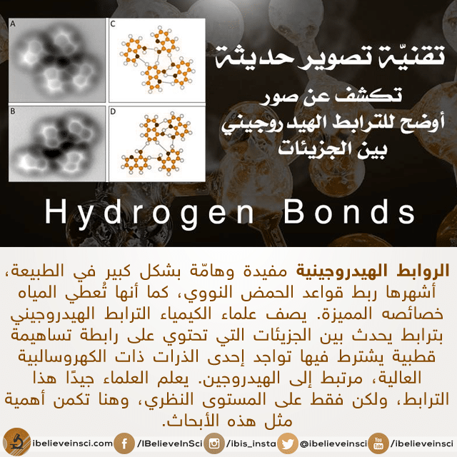 اول الصور للترابط الهيدروجيني بين الجزيئات