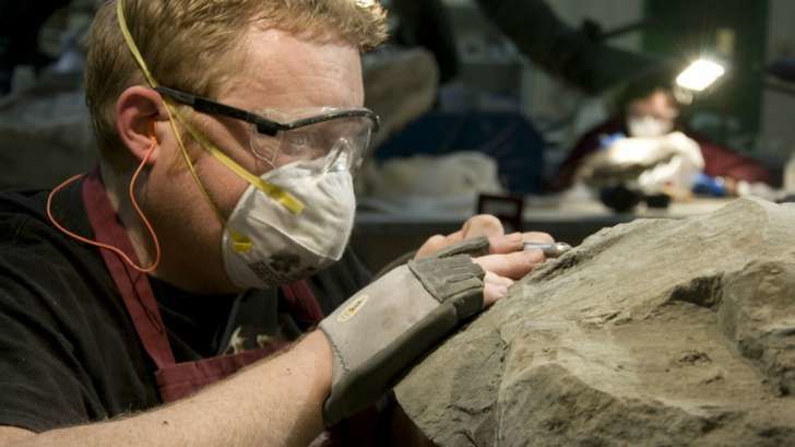 موناليزا الديناصورات أحفورة تكشف أسرار غير متوقع