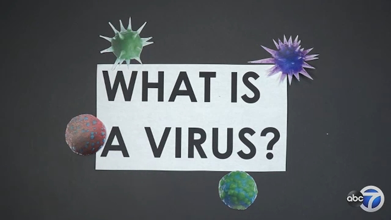 ما هي الفيروسات؟ وكيف اكتشفت؟