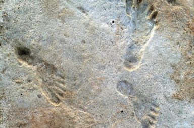 قد تكون آثار الأقدام هذه أقدم آثار اكتشفت حتى الآن تخص أشباه الإنسان - كشفت دراسة حديثة أن آثار أقدام لأشباه البشر تعود لنحو 350 ألف سنة أقدم مما نعرف