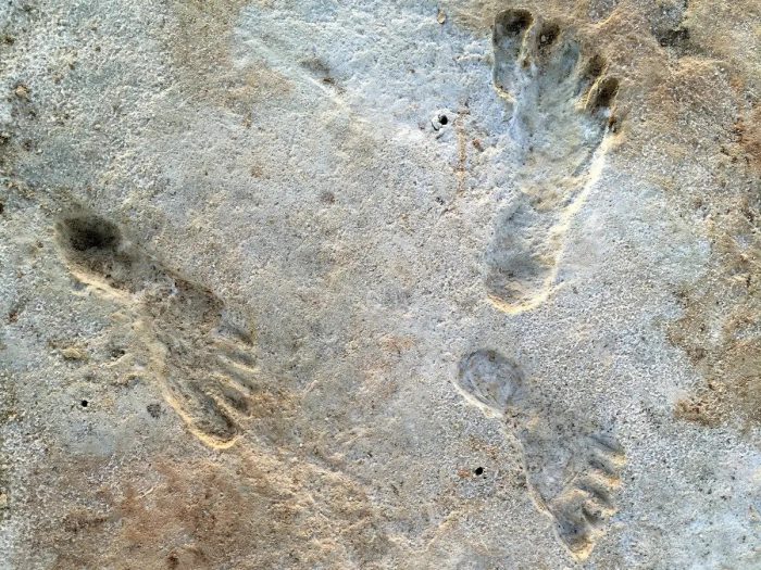قد تكون آثار الأقدام هذه أقدم آثار اكتشفت حتى الآن لأشباه الإنسان