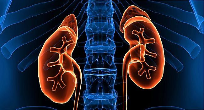 تضيق الشريان الكلوي Renal Artery Stenosis