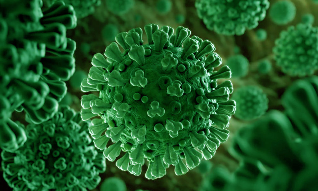 هل للمناخ دور في ظهور فيروس كورونا المستجد؟