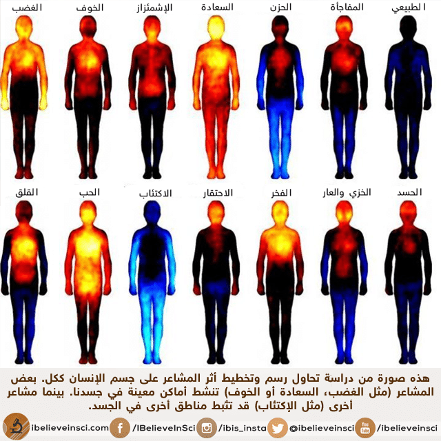 علماء يدرسون ويخططون تأثير المشاعر على جسم الإنسان