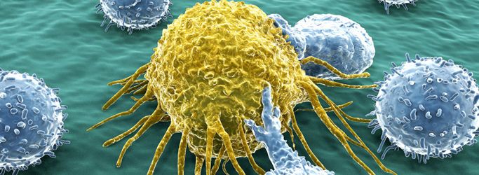 فريقٌ من الباحثين يكتشف مركبًا دوائيًا يوقف الخلايا السرطانية عن الانتشار