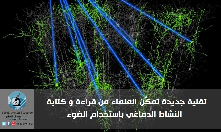 تقنية جديدة تمكّن العلماء من قراءة و كتابة النشاط الدماغي باستخدام الضوء