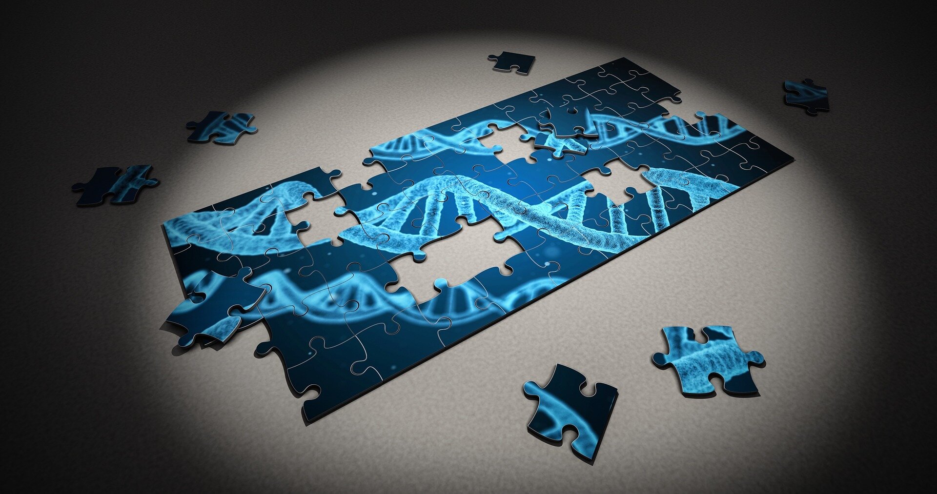 فرضية جديدة في نظرية التطور تشرح لماذا تتحرك الجينات على الكروموسومات - اكتشاف الحمض النّووي وكيفية تضاعفه - الطفرات في الحمض النووي 
