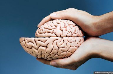 هل ينكمش الدماغ بمرور العمر هل يتضاءل حجم الدماغ مع مرور الزمن الشيخوخة الخرف الإدراك الوظائف المتعلقة بالإدراك ضمور الدماغ