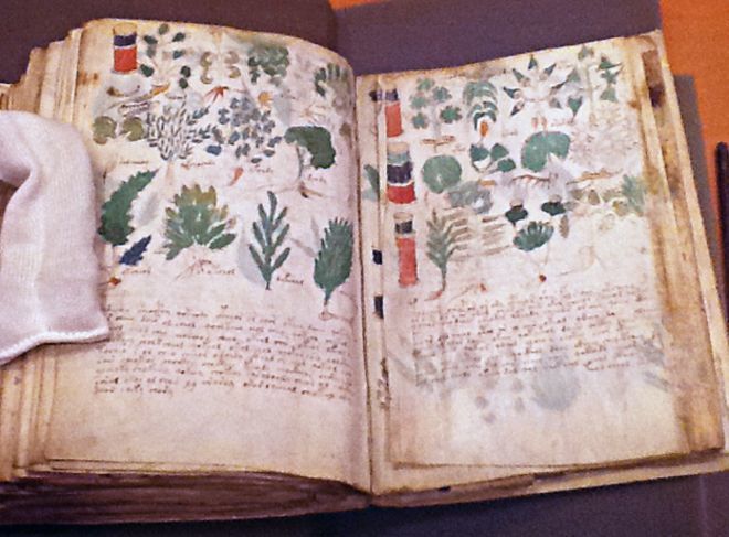 لغة مفقودة، شيفرة أم خدعة؟ لماذا لا تزال مخطوطة فوينيتش Voynich تُحيِّر الخبراء