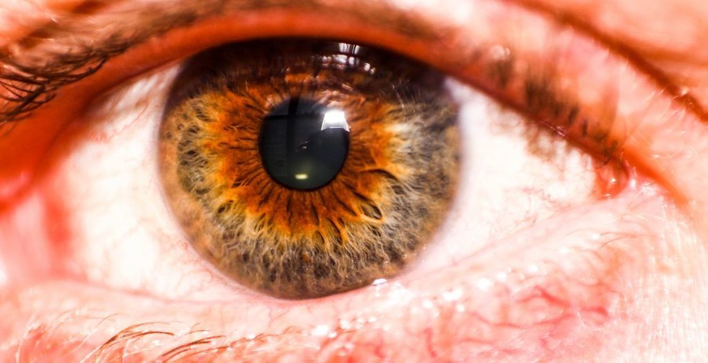 يكتشف العلماء بروتين يحمي العين من الإصابة بالزّرق (غلوكوما).