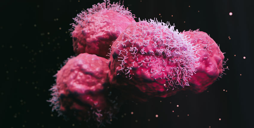 لقاح يقتل الخلايا السرطانية في الدماغ ويمنعها من النمو