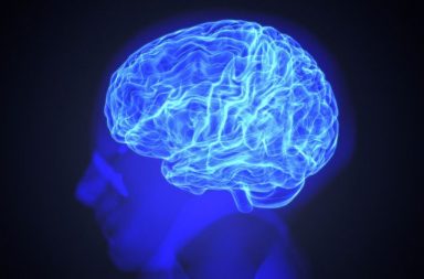 يستطيع العلماء رؤية ذكرياتك بتصوير دماغك - النشاط الكهربي للدماغ - تجربة سريرية لمرضى الصرع غير المستجيب للأدوية - تحفيز الذكريات