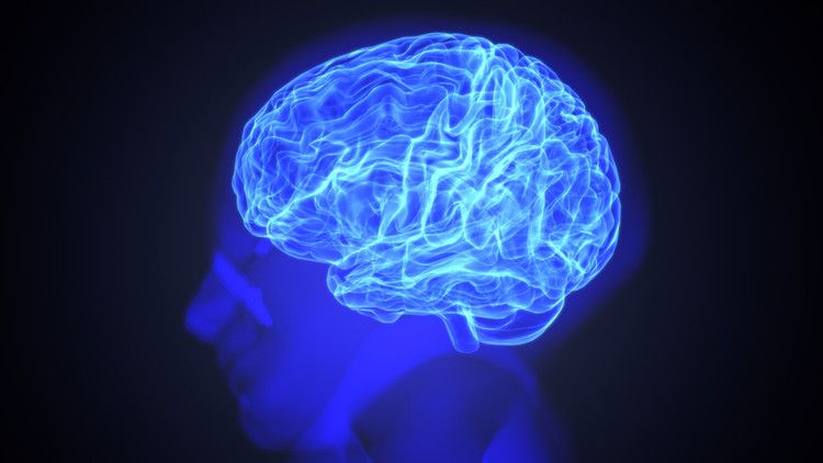 يستطيع العلماء رؤية ذكرياتك بتصوير دماغك!