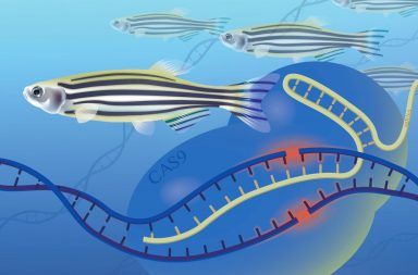 طريقة جديدة لتحديد وظائف الجينات ستمكننا من فهم عمليات الحياة فهم العلماء لكيفية عمل الجينات يمهد الطريق أمام معرفتنا للعمليات الحيوية
