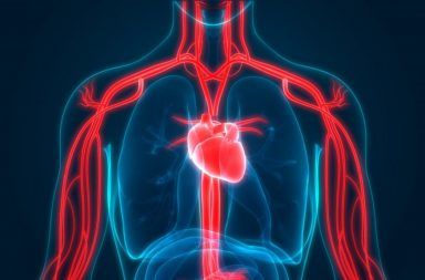 المتلازمة الكبدية الرئوية HPS: الأسباب والأعراض والتشخيص والعلاج تخسر الرئة قدرتها على نقل الأكسجين إلى الأنسجة مرضى تشمع الكبد