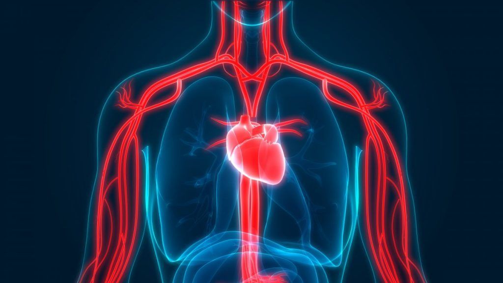 المتلازمة الكبدية الرئوية HPS: الأسباب والأعراض والتشخيص والعلاج