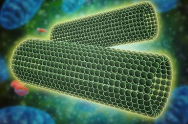 ما هو المريكز The Centriole وظيفة المريكزات في الخلية الحية أين تقع المريكزات في الخلايا الانقسام الخلوي المريكز والسرطان