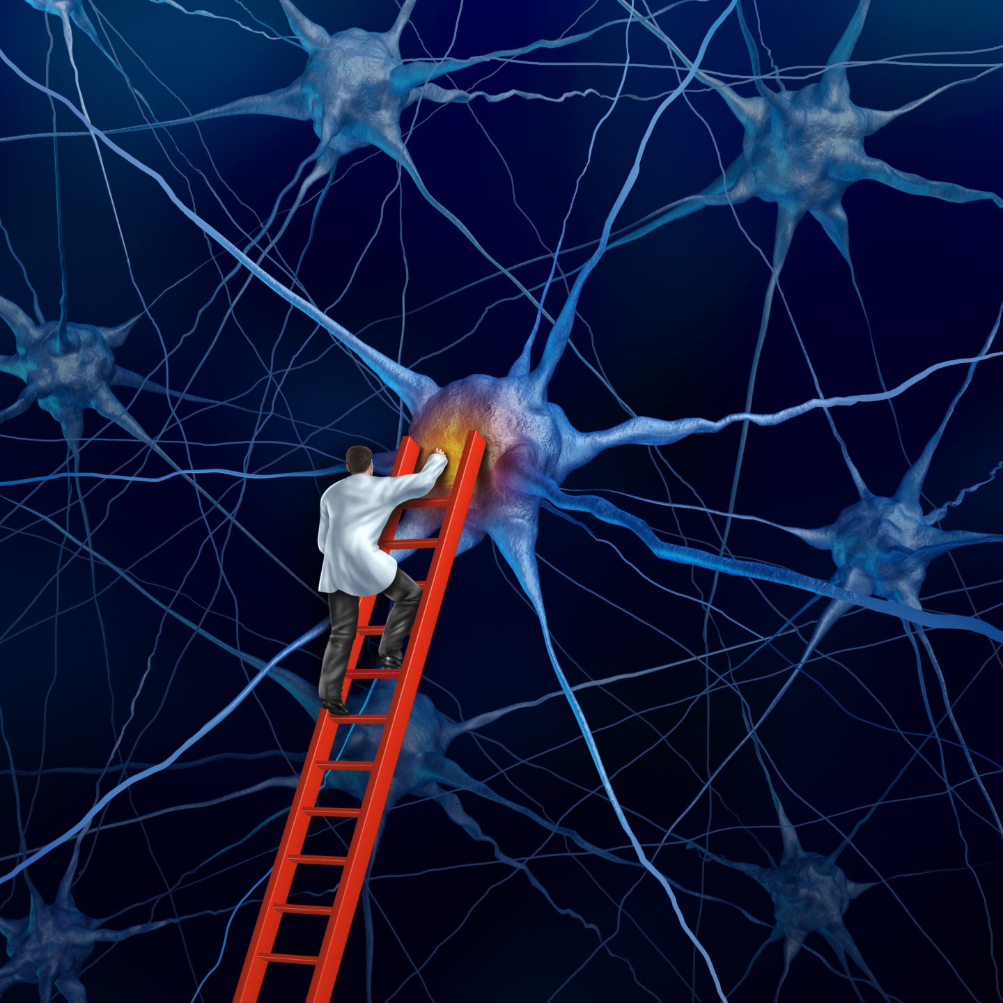 اكتشاف نوع جديد من الخلايا العصبية يلقي الضوء على تشكل الذكريات