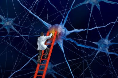 كشف العلماء عن نوع جديد من الخلايا العصبية التي تنشر الموجات الحادة التي تتموج المعلومات على نطاق واسع في الدماغ وتشير إلى وقوع حدث في الذاكرة