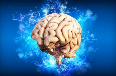 آفات الدماغ: الأسباب والعلاج - الأضرار التي بإمكانها إصابة أي جزء من الدماغ - اللويحات المترسّبة في أنسجة الدماغ - التصوير المقطعي المحوسب