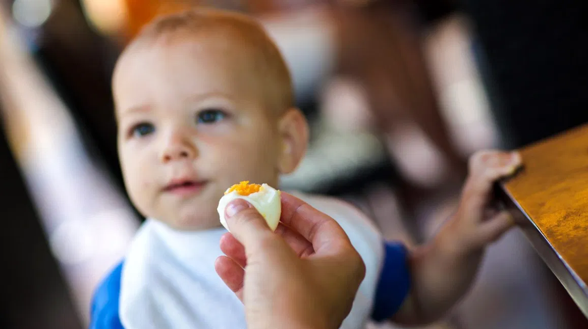 هل من الآمن إطعام الأطفال الرضع البيض؟