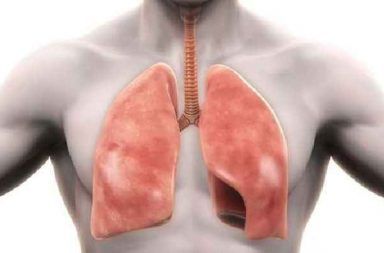 عأسباب انخماص الرئة ما هي أعراض الانخماص الرؤوي وما طرق علاجه الطريق التنفسية الصدر الأسناخ الهواء صعوبة في التنفس انضغاط الرئة