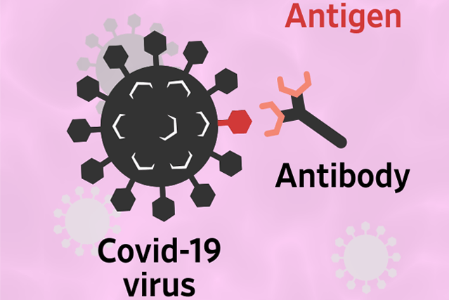لماذا لا يضمن وجود الأجسام المضادة اكتساب حصانة ضد الفيروس - اختبارات الأجسام المضادة لمعرفة إن كانوا قد تعرضوا لفيروس كورونا أم لا