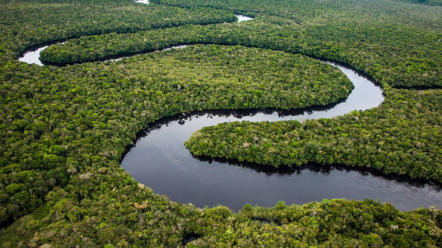 العلماء يحذرون: غابات الأمازون قد تزيد التغير المناخي سوءًا!
