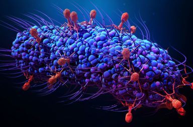 ما هي البكتيريا ما هي الجراثيم كيف تتكاثر الخلايا البكتيرية مقاومة الجراثيم للمضادات الحيوية الحمض النووي الريبي الخلايا خيققية النواة