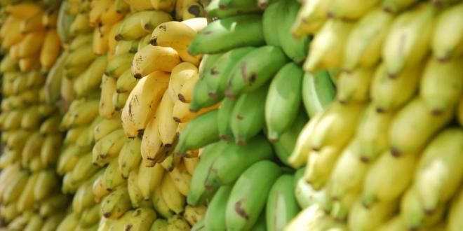 الموز: فوائده الصحية وأضرار الإفراط به
