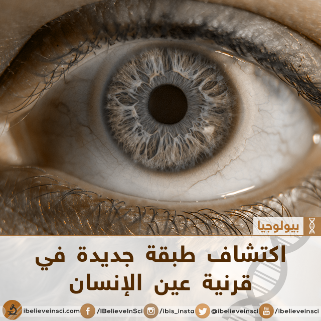 اكتشاف طبقة جديدة في قرنية عين الإنسان
