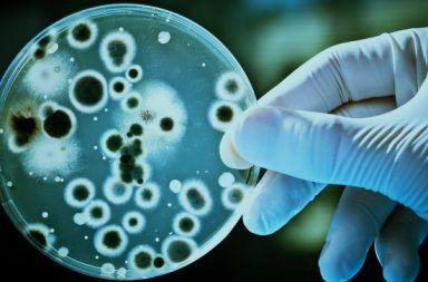 ما هي التكنولوجيا الحيوية علم الأحياء الهندسة الجينية الهندسة الوراثية البروتينات العلاجية المعدلة وراثيًا إنتاج خلايا الدم الحمراء والبيضاء