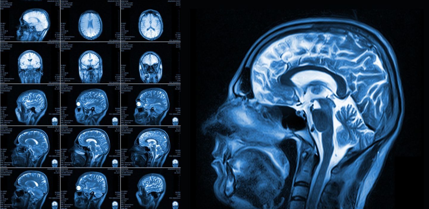 نجح الباحثون بتحديد مكان أول نشاط دماغي عند الأجنة
