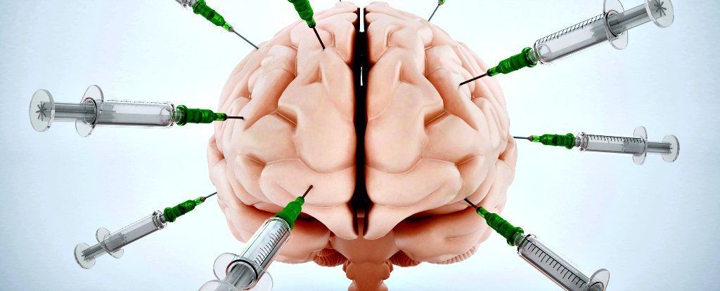 علماء الأعصاب يغرسون أقطابًا كهربائية في الدماغ ليعرفوا تأثيرها عليه