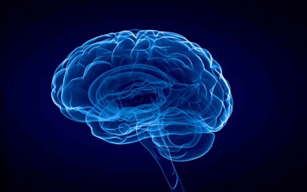 كيف يعود الدماغ لنشاطه بعد تعرضه لإصابة؟