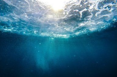 أسرار المحيط ماذا يوجد في قاع المحيط الأسرار في قاع البحر كائنات القاع سطح البحر المسطحات المائية العميقة الماء الأرض الخنادق المحيطية