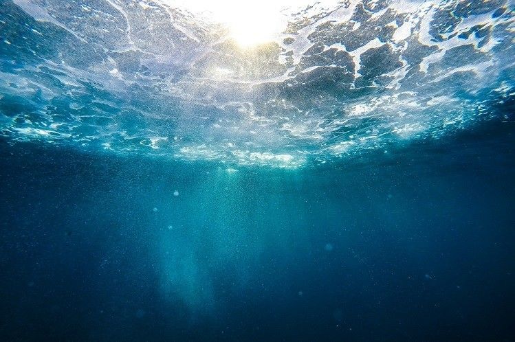 قاع المحيط: ماذا نعرف عنه، وماذا يوجد في قاع المحيطات؟