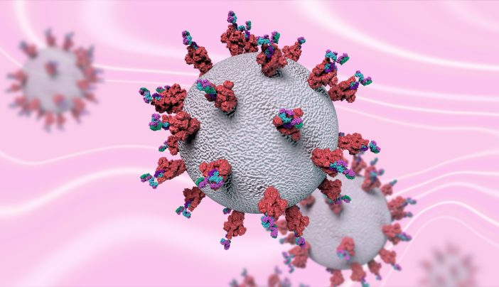 الأجسام المضادة التي تحمينا من فيروس كورونا لا تستمر إلا بضعة شهور - الأجسام المضادة لمرض كوفيد -19 قد تتلاشى خلال شهرين لدى المصابين غير العرضيين 