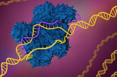 من الممكن أن تكون تقنية كريسبر آمنةً لعلاج السرطان - كيف يمكن تقنية كريسبر CRISPR للتعديل الجيني لتعديل الحمض النووي للخلايا المناعية