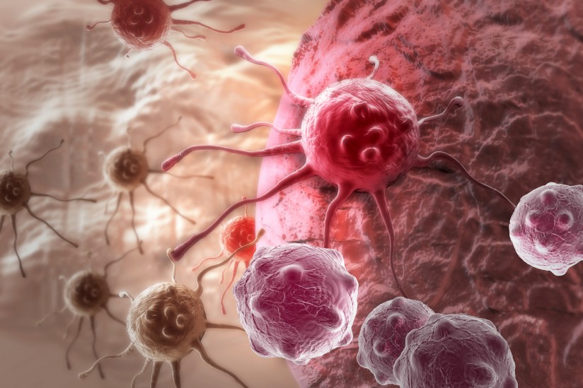 كيف يخدع السرطان جهازنا المناعي؟