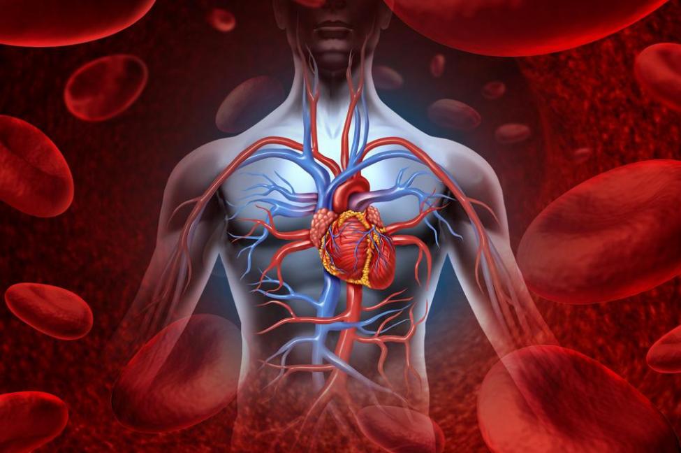 الناجون من نوبات قلبية أكثر عرضة لخطر الإصابة بالسرطان