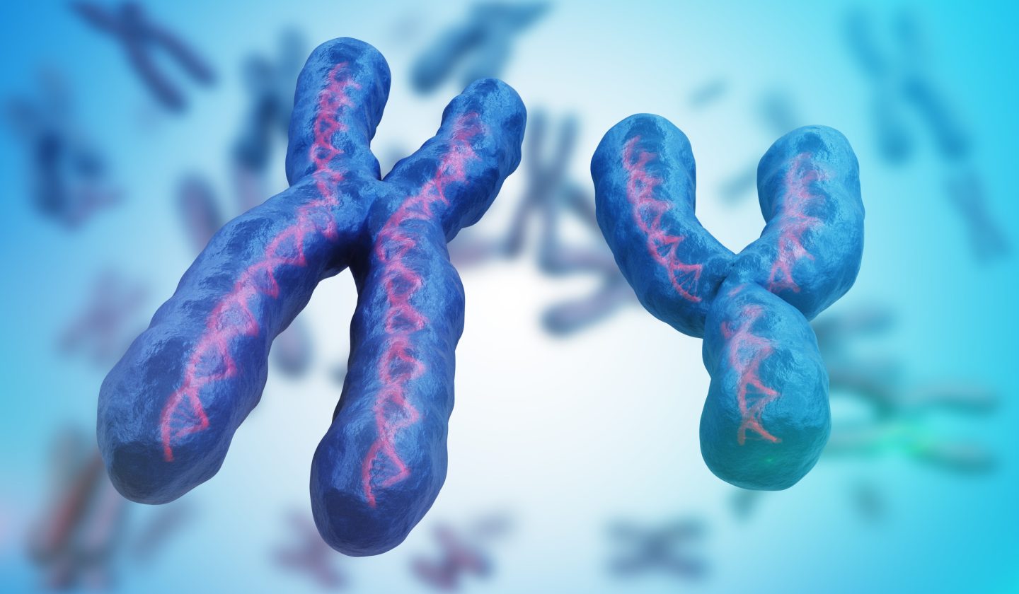اكتشاف جينات جنسية جديدة تمنح الأمل للبشرية، بعد فقدان الرجال الكروموسوم Y!