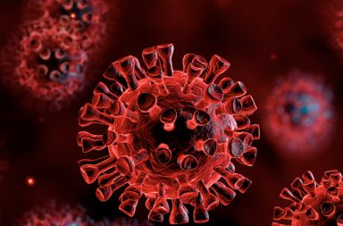كل ما تحتاج إلى معرفته عن فيروس كورونا الجديد (كوفيد-19) - فيروسات كورونا هي مجموعة كبيرة من الفيروسات التي قد تسبب مرضًا للحيوانات أو البشر